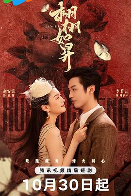 《强袭魔女第一季》动漫高清全集