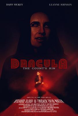 《第一夫人2025》电视剧高清全集