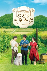 《保卫秘要》电影高清完整版