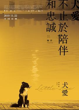 《红杏出墙记1997》电视剧高清全集