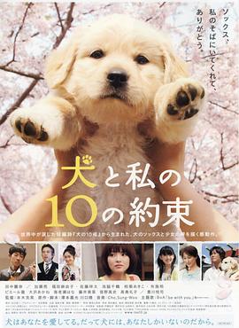 《邰忠利》电影高清完整版