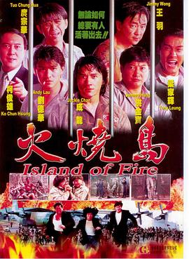 《风流皇帝偶遇刁蛮女粤语》电影高清完整版
