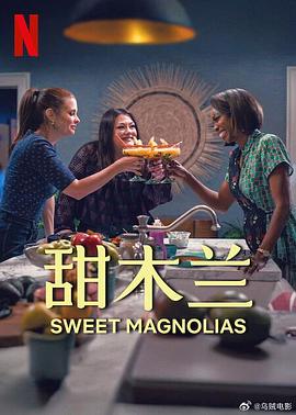 《正午显影》电影高清完整版