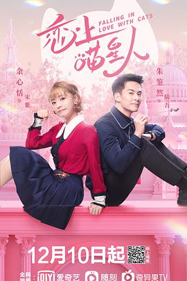 《毒舌家庭》电视剧高清全集