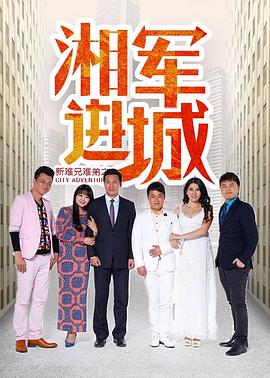 《陪你到国际之巅》电视剧高清全集