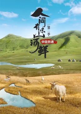 《旗鼓相当的咱们第二季》综艺高清完整版