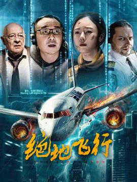 《宿醉惊喜》电影高清完整版