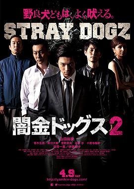 《乔可·安华的噩梦与白日梦》电视剧高清全集