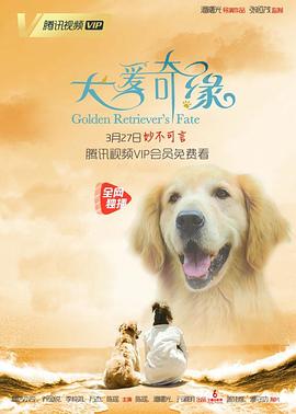 《近在咫尺》电影高清完整版