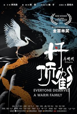 《有你就美好》电视剧高清全集