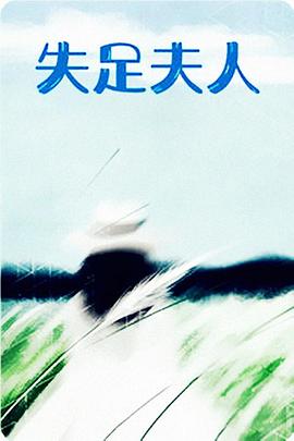《合伙人之路》电视剧高清全集