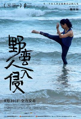 《特务过家家第一季》动漫高清全集