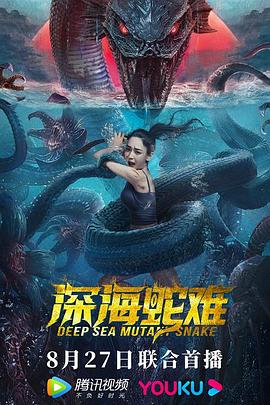 《谍影奸细》电影高清完整版