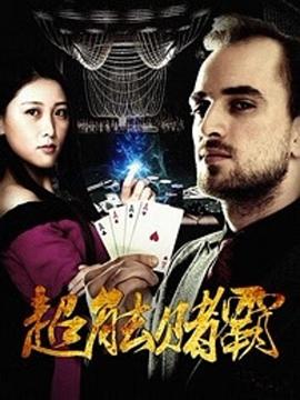 《维也纳血案第二季》电视剧高清全集