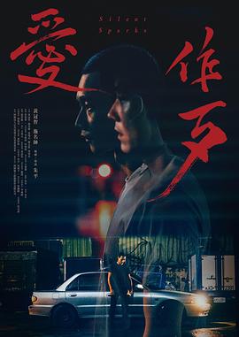 《变形黑侠》电影高清完整版