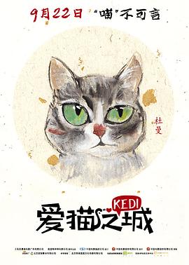 《我爱九龙城粤语》电视剧高清全集