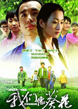 《光影流情》电影高清完整版