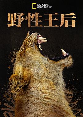 《神盾局奸细第四季》电视剧高清全集