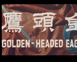 《十二夜》电影高清完整版
