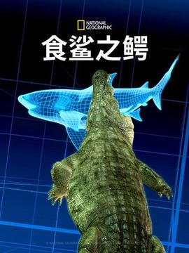 《谋杀回想【影视说明】》电影高清完整版