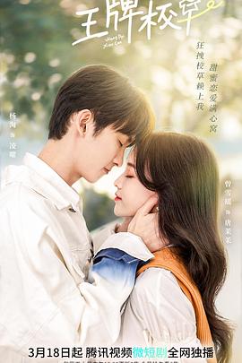 《男模的隐秘》电影高清完整版