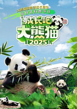 《伊伦嘉：引诱的艺术【影视说明】》电影高清完整版