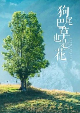 《大角色拿破仑》电影高清完整版