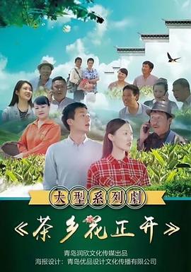 《你是我目光里的星》电视剧高清全集