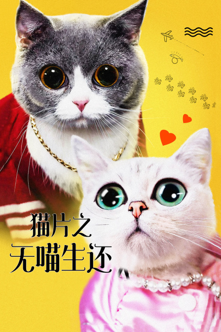 《翼·时代记 剧场版 鸟笼国的公主》动漫高清全集