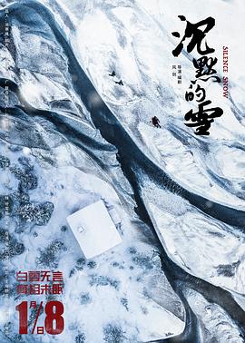 《妙警贼探第三季》电视剧高清全集