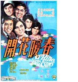 《英豪虎胆2006》电视剧高清全集