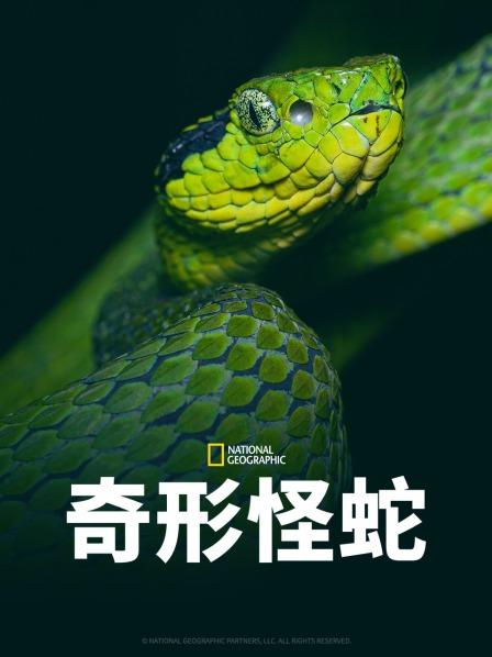 《猎战狂徒》电影高清完整版