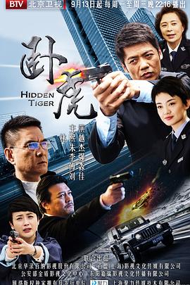 《爱的南北极》电视剧高清全集