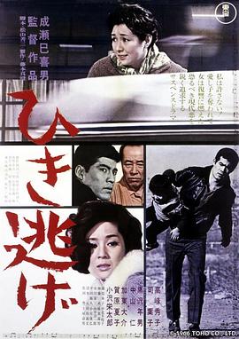 《逐日者》电影高清完整版