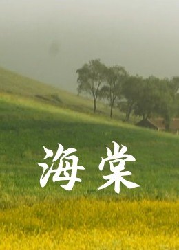 《悠长假日》电视剧高清全集