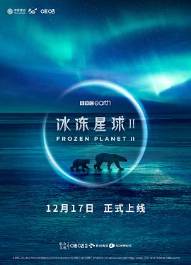 《极道追寻国语》电影高清完整版
