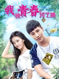 《律师Sodom》电视剧高清全集