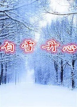 《俗人的品质》电视剧高清全集
