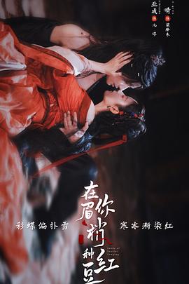 《Weiss Survive R》动漫高清全集