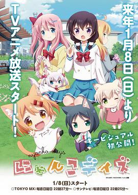 《春来枕星河》电视剧高清全集
