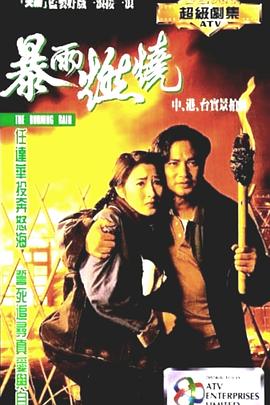 《惩罚者2【影视说明】》电影高清完整版