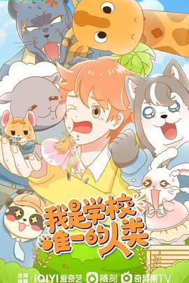 《芝加哥烈焰第十二季》电视剧高清全集
