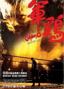 《那一场呼啸而过的芳华》电影高清完整版
