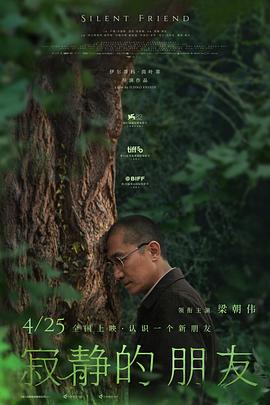 《是非国际》电影高清完整版