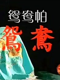 《曼谷少年》电视剧高清全集