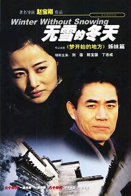 《野丫头》电视剧高清全集