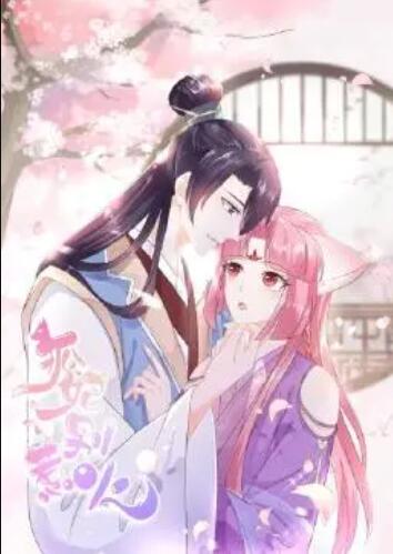 《寻找鬼魂大象》电影高清完整版