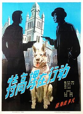 《2024芳华德云社》综艺高清完整版