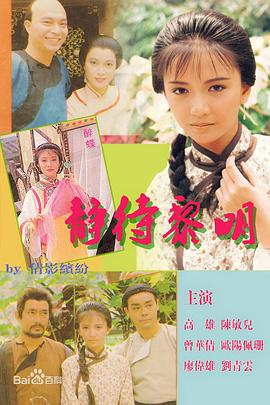 《熟女强者粤语》电视剧高清全集