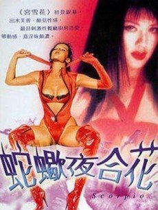 《我女朋友的男朋友第二部》电视剧高清全集